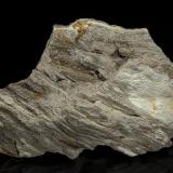 Quartz (variety smoky quartz), Petrified Wood<br />Brilliant, Marion County, Alabama, USA<br />13.0 x 7.8 cm<br /> (Author: am mizunaka)