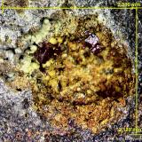Cuprita.<br />Villecun, Olmet-et-Villecun, Cantón Lodève, Distrito Lodève, Hérault, Occitanie, Francia<br />2´13 x 2´01 mm.<br /> (Autor: Jesus Franquesa Baucells)