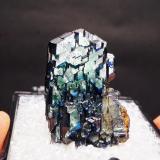 Vivianite<br />Morococala Mine, Santa Fe Mining Distric, Dalence Province, Oruro Department, Bolivia<br /><br /> (Author: xdxucn)