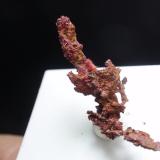 Cobre (variedad calcotriquita)<br />Corta Santa Bárbara, Minas de Herrerías, Puebla de Guzmán, Comarca El Andévalo, Huelva, Andalucía, España<br />10x25 mm<br /> (Autor: Ignacio)