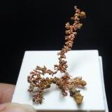 Cobre<br />Corta Santa Bárbara, Minas de Herrerías, Puebla de Guzmán, Comarca El Andévalo, Huelva, Andalucía, España<br />25x40 mm<br /> (Autor: Ignacio)