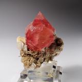 Fluorite, MuscoviteNagar, Valle Hunza, Distrito Nagar, Gilgit-Baltistan (Áreas del Norte), Paquistán60 mmx x 58 mm x 40 mm (Author: Don Lum)