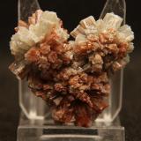 AragonitoLoma Bada, Petrer, Comarca Medio Vinalopó, Alicante / Alacant, Comunidad Valenciana / Comunitat Valenciana, España5 x 4 cm (Autor: Pedro Antonio)