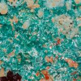 Ortoserpierita [Orthoserpierite]<br />Chessy-les-Mines, Les Bois d'Oingt, Villefranche-sur-Saône, Rhône, Auvergne-Rhône-Alpes, Francia<br />Campo de visión 10 mm.<br /> (Autor: Antonio P. López)