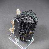 Schorl (Tourmaline Group), Quartz (variety smoky quartz)Erongo Mountain, Usakos, Erongo Region, Namibia65 mm x 62 mm x 42 mm (Author: Don Lum)