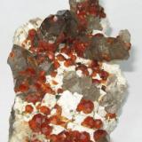 Spessartine, quartz
Lechang Mine, Lechang, Shaoguan, Guangdong, China
125 mm x 68 mm (Author: Carles Millan)