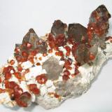 Spessartine, quartz
Lechang Mine, Lechang, Shaoguan, Guangdong, China
125 mm x 68 mm (Author: Carles Millan)