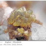 Mimetite<br />Mas Dieu, Mercoirol, Alès, Gard, Occitanie, France<br />fov 3.8 mm<br /> (Author: ploum)