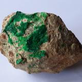 Conichalcite<br />Gold Hill Mine, Gold Hill, Gold Hill District, Tooele County, Utah, USA<br />4,5 x 3,5 cm<br /> (Author: Volkmar Stingl)