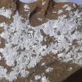 Dawsonite<br />Morone Mine (Selvena Mine), Amiata Mountain, Castell'Azzara, Grosseto Province, Tuscany, Italy<br />9 x 5,5 cm<br /> (Author: Volkmar Stingl)