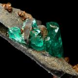 Beryl (variety emerald), Calcite, Pyrite<br />Chivor mining district, Municipio Chivor, Eastern Emerald Belt, Boyacá Department, Colombia<br />68 x 50 x 14 mm - main xl fragment 21 mm<br /> (Author: Fiebre Verde)