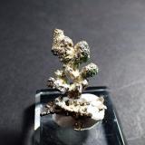 SilverMina White Pine, White Pine, Condado Ontonagon, Michigan, USA35 mm x 21 mm x 7 mm (Author: Don Lum)
