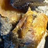WulfenitaMina Erupción (Mina Ahumada), Sierra de Los Lamentos, Municipio Ahumada, Chihuahua, México7 x 9 cm. (Autor: Felipe Abolafia)