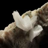 Bertrandite on OrthoclaseGolconda pegmatite, Governador Valadares, Vale do Rio Doce, Minas Gerais, Brazil9 x 8 x 21 cm / main crystal: 4.1 cm (Author: MIM Museum)