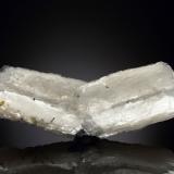 Bertrandita<br />Pegmatita Golconda, Governador Valadares, Vale do Rio Doce, Minas Gerais, Brasil<br />7.5 x 2.5 x 1.5 cm / cristal principal: 4.1 cm<br /> (Autor: Museo MIM)