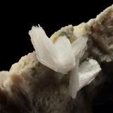 Bertrandita<br />Pegmatita Golconda, Governador Valadares, Vale do Rio Doce, Minas Gerais, Brasil<br />9 x 8 x 21 cm / cristal principal: 4.1 cm<br /> (Autor: Museo MIM)