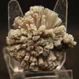 AragonitoLoma Bada, Petrer, Comarca Medio Vinalopó, Alicante / Alacant, Comunidad Valenciana / Comunitat Valenciana, España4.5 x 4.5 cm (Autor: Pedro Antonio)