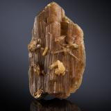 Eosphorite<br />Linópolis, Divino das Laranjeiras, Vale do Rio Doce, Minas Gerais, Brazil<br />3 x 1.5 x 5.5 cm / main crystal: 5.4 cm<br /> (Author: MIM Museum)