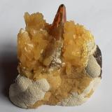 Baryte, Calcite<br />Elk Creek, Dalzell, Meade County, South Dakota, USA<br />6,5 x 6,5 cm<br /> (Author: Volkmar Stingl)