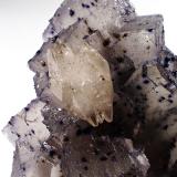 Fluorite, Calcite, Sphalerite, Pyrite, DolomiteMina Stonewall, Carthage, Distrito Central Tennessee Ba-F-Pb-Zn, Condado Smith, Tennessee, USA90 mm x 90 mmx 55 mm (Author: Don Lum)