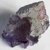 Fluorite<br />Tule Mine, Melchor Múzquiz, Municipio Melchor Múzquiz, Coahuila (Coahuila de Zaragoza), Mexico<br />6 x 4,5 cm<br /> (Author: Volkmar Stingl)