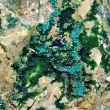 Tirolita [Tyrolita], Conicalcita [Conichalcite], Azurita [Azurite]Mina La Encontrada, Los Tejares, Ítrabo-Molvízar, Comarca Costa Granadina, Granada, Andalusia, Spain9x5 cm. (Autor: panchito28)