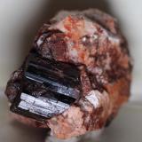 Chorlo [Schorl]<br />Cerro de la Santa, Belvís de Monroy, Comarca Campo Arañuelo, Cáceres, Extremadura, España<br />58 x 45 x 35 mm.<br /> (Autor: José Luis Zamora)