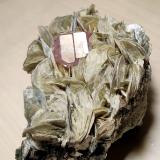 Fluorapatito, Moscovita<br />Chumar Bakhoor, Valle Hunza, Distrito Nagar, Gilgit-Baltistan (Áreas del Norte), Paquistán<br />110 mm x 75 mm. Cristal de fluorapatita: 14 mm de arista, 20 mm en total. Masa: 432 g<br /> (Autor: Carles Millan)