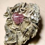 Fluorapatito, Moscovita<br />Chumar Bakhoor, Valle Hunza, Distrito Nagar, Gilgit-Baltistan (Áreas del Norte), Paquistán<br />110 mm x 75 mm. Cristal de fluorapatita: 14 mm de arista, 20 mm en total. Masa: 432 g<br /> (Autor: Carles Millan)