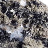 Augite (variety fassaite), Phlogopite<br />Vedretta della Miniera, Val Zebrù, Valfurva, Sondrio, Lombardia, Italia, Italy<br />6,5 x 4 cm<br /> (Author: Volkmar Stingl)