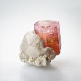 Elbaite, QuartzBeni Bouzra (Bni Bouzra), Chefchaouen Province, Tanger-Tetouan-Al Hoceima Region, Morocco19 x 19 x 15 mm (Author: TamaHiguchi)