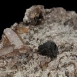 Cervandonita-(Ce)<br />Monte Cervandone, Alpe Devero, Baceno, Valle Ossola, Provincia Verbano-Cusio-Ossola, Piamonte (Piemonte), Italia<br />6 x 6.5 x 3.5 cm / cristal principal: 0.8 cm<br /> (Autor: Museo MIM)