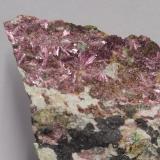 Eritrina [Erythrite]<br />Mina La Encontrada, Los Tejares, Ítrabo-Molvízar, Comarca Costa Granadina, Granada, Andalucía, España<br />10x7 cm<br /> (Autor: panchito28)