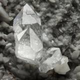 Quartz<br />Val Pulita Quarry, Valpulita, Carrara, Apuan Alps, Massa-Carrara Province, Tuscany, Italy<br />20 x 20 x 20 cm / main crystal: 4.2 cm<br /> (Author: MIM Museum)