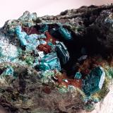 Chalcophyllite<br />Salsigne Mine, Salsigne, Mas-Cabardès, Carcassonne, Aude, Occitanie, France<br />2,5 x 1,5 cm<br /> (Author: Volkmar Stingl)