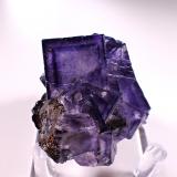 Fluorite, Sphalerite, Calcite, Pyrite<br />Elmwood Mine, Carthage, Central Tennessee Ba-F-Pb-Zn District, Smith County, Tennessee, USA<br />54 mm x 47 mm x 31 mm<br /> (Author: Don Lum)