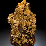 WulfenitaMina Ojuela, nivel 6, San Juan Poniente, Mapimí, Municipio Mapimí, Durango, México13.5 x 8 x 4 cm / cristal principal: 1.5 cm (Autor: Museo MIM)