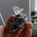 Whewellite<br />Shaft 371, Schlema-Hartenstein District, Erzgebirgskreis, Saxony/Sachsen, Germany<br />Specimen size 5,5 cm, crystal 2,5 cm<br /> (Author: Tobi)