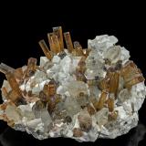 Elbaite, Quartz, Feldspar Group<br />Beni Bouzra (Bni Bouzra), Chefchaouen Province, Tanger-Tetouan-Al Hoceima Region, Morocco<br />8.9 x 7.2 cm<br /> (Author: am mizunaka)