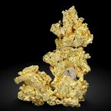 Gold<br />Aouint Ighoman, Assa-Zag Province, Guelmim-Oued Noun Region, Morocco<br />Specimen height 1,4 cm<br /> (Author: Tobi)