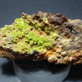 PiromorfitaMoulay Bouazza, Provincia Khénifra, Región Béni Mellal-Khénifra, Marruecos70x30 mm (Autor: Ignacio)