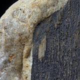 The fossilized wood on limestone (Author: k-m.minerals)