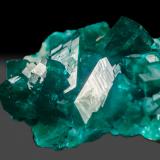 Dioptase<br />Tsumeb Mine, Tsumeb, Otjikoto Region, Namibia<br />42.4 x 22.1 mm<br /> (Author: k-m.minerals)