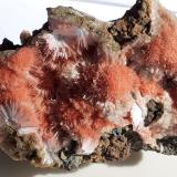 Mesolite on ThomsoniteKhadakwani, Distrito Khargone, Madhya Pradesh, India5 x 4 cm (Author: Volkmar Stingl)