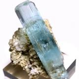 Berilo [Beryl], Albita [Albite], Cuarzo [Quartz], Chorlo [Schorl]<br />Shengus (Shingus), Distrito Roundu, Gilgit-Baltistan (Áreas del Norte), Paquistán<br />74 mm x 46 mm. Cristal de berilo: 74 mm altura, 18 mm anchura. Masa: 94 g<br /> (Autor: Carles Millan)