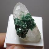 Moscovita (variedad fuchsita) sobre Cuarzo (variedad cristal de roca)<br />Malacacheta, Municipio Malacacheta, Vale do Mucuri, Minas Gerais, Brasil<br />20x45 mm<br /> (Autor: Ignacio)
