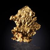 Gold<br />Harvard Mine, Mother Lode Belt, Jamestown, Jamestown District, Tuolumne County, California, USA<br />9 mm x 12 mm x 2 mm<br /> (Author: Firmo Espinar)