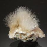 MesoliteCantera Upper Ritter, Ritter, Condado Grant, Oregon, USA2.5 x 2.0 cm (Author: Michael Shaw)