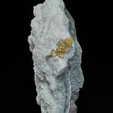 Gold<br />Fire Creek Mine, Joyce vein, Crescent Valley, Lander County, Nevada, USA<br />9.0 x 7.0 cm<br /> (Author: am mizunaka)