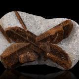 Estaurolita [Staurolite]<br />Pestsovye Keivy, Montes Keivy, Península Kola, Murmanskaja Oblast, Región Norte, Rusia<br />9.5 x 5.5 x 3 cm / cristal principal: 7.7 cm<br /> (Autor: Museo MIM)